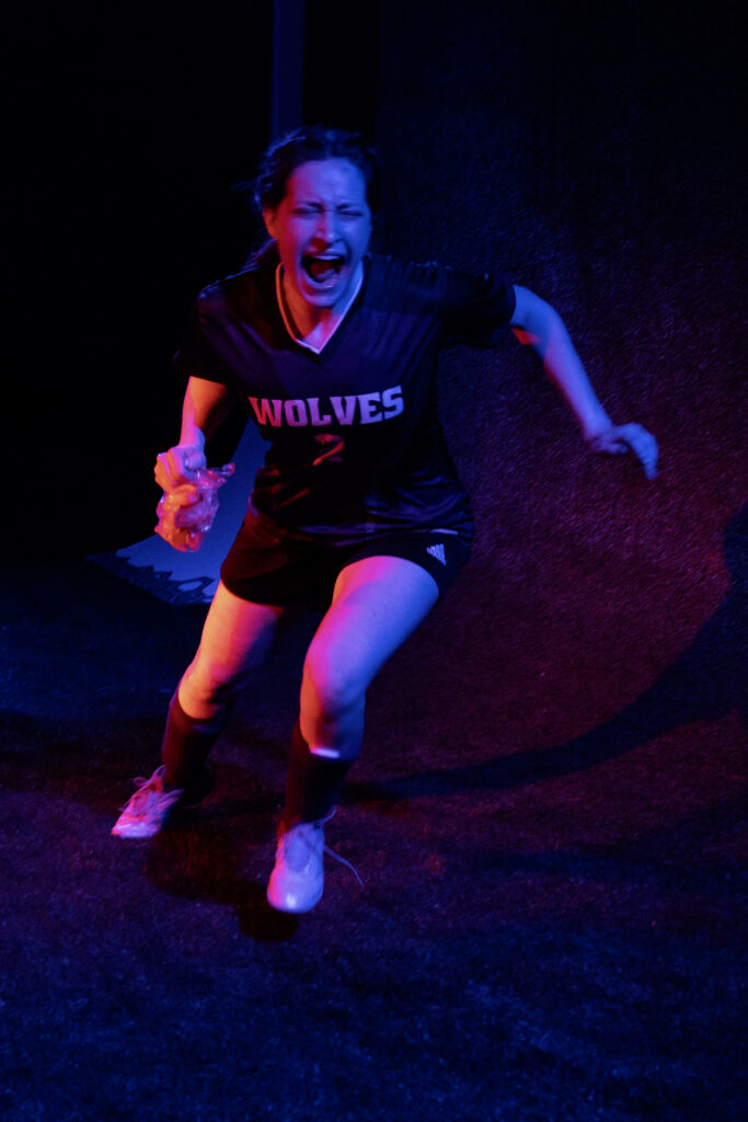 Wolves 3